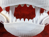Medium Carnivore Realistic Style Jawset