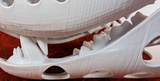 Medium Bear Realistic Style Jawset