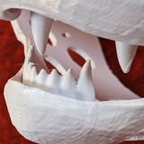 Mini Dragon Jawset
