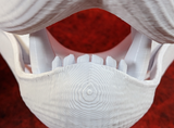 Medium Feline Realistic Style Jawset