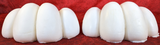 11.5" Wide 4-Toe Large Foam Paw Set