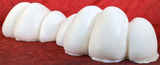 11.5" Wide 4-Toe Large Foam Paw Set