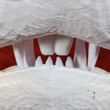 Mini Cabbit Jawset