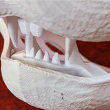 Mini Cabbit Jawset