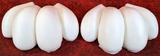 10" Wide 4-Toe Small Foam Paw Set
