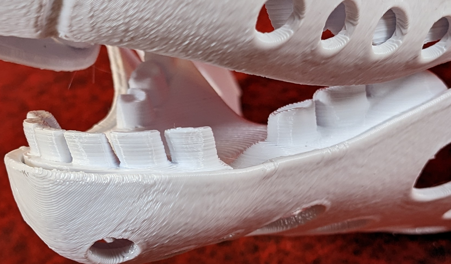 Medium Herbivore Realistic Style Jawset