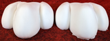 10" Wide 3-Toe Large Foam Paw Set