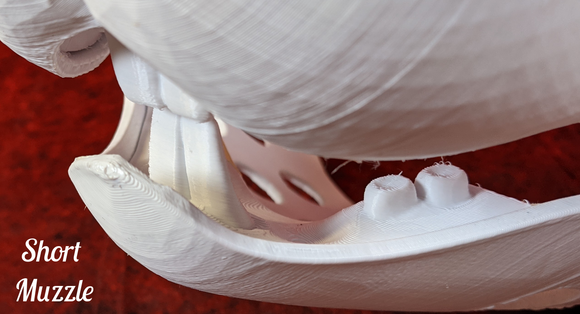 Medium Bunny Realistic Style Jawset