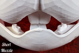 Medium Bunny Realistic Style Jawset