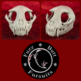 Small Feline Skull